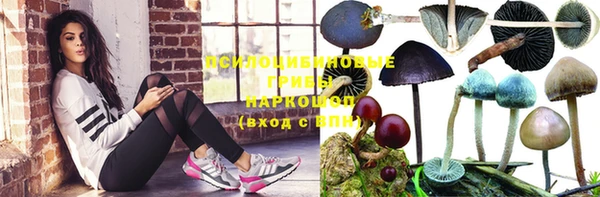 соль курить ск Алексин