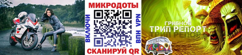 Псилоцибиновые грибы Psilocybine cubensis  купить наркотики сайты  Карабаш 
